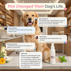 DENTACLEAN® - Dogs/Cats.