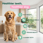 DENTACLEAN® - Dogs/Cats.